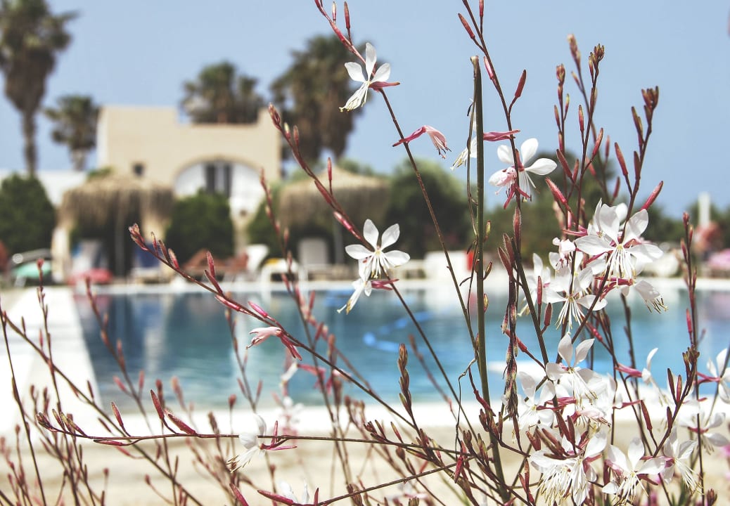 Basen Summer Village of Hippokrates - Adults only