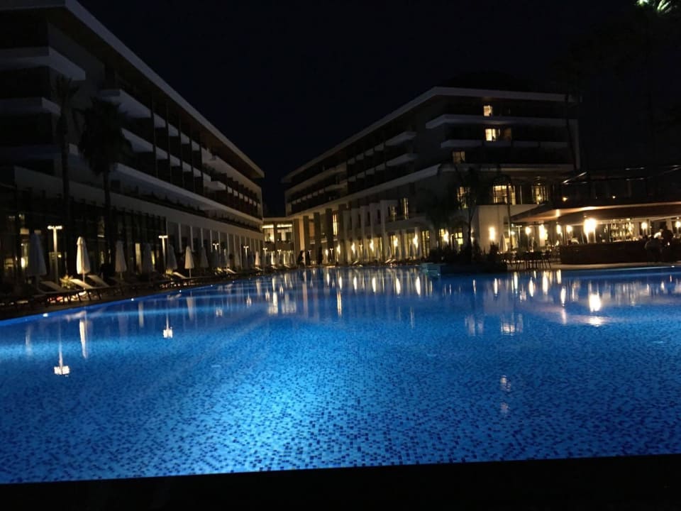 Hauptpool Acanthus Cennet Barut Collection