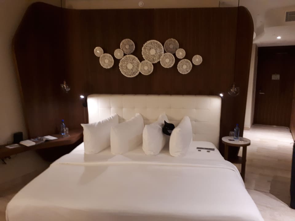 Zimmer TRS Coral Hotel - Adults Only