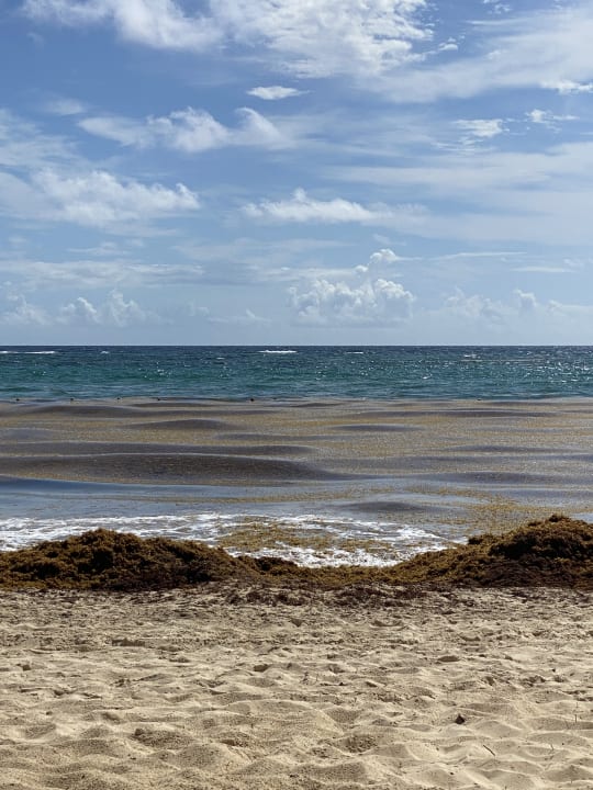 Strand Hotel Riu Palace Punta Cana