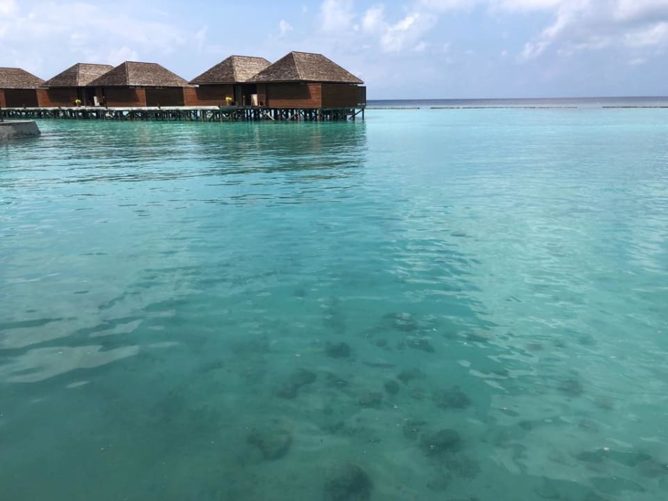 Ausblick Veligandu Maldives Resort Island