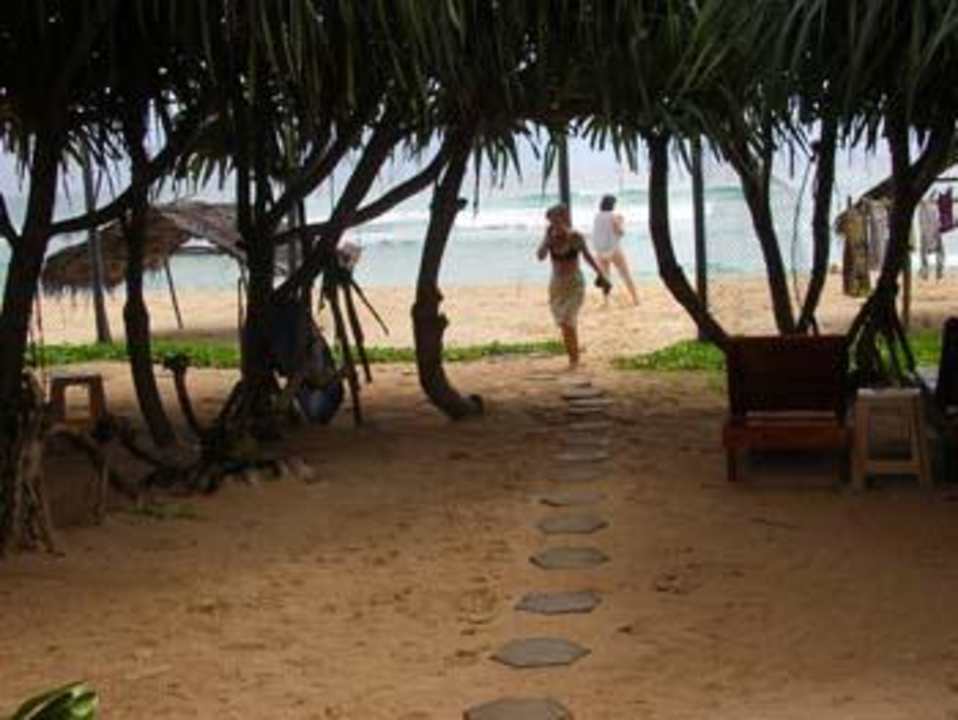 0 m bis zum Strand Hotel Haus am Meer Wilde Ananas