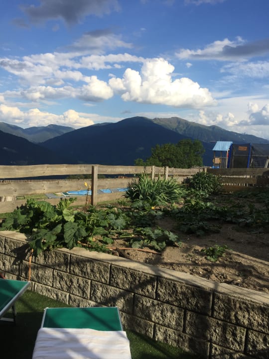 Ausblick Natur & Aktiv Hotel Rogen