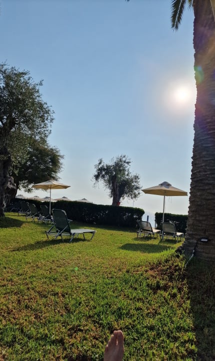 Gartenanlage Elea Beach Hotel