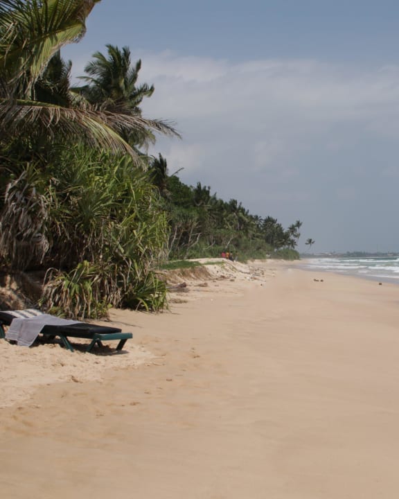 Hotelstrand Hotel Haus am Meer Wilde Ananas