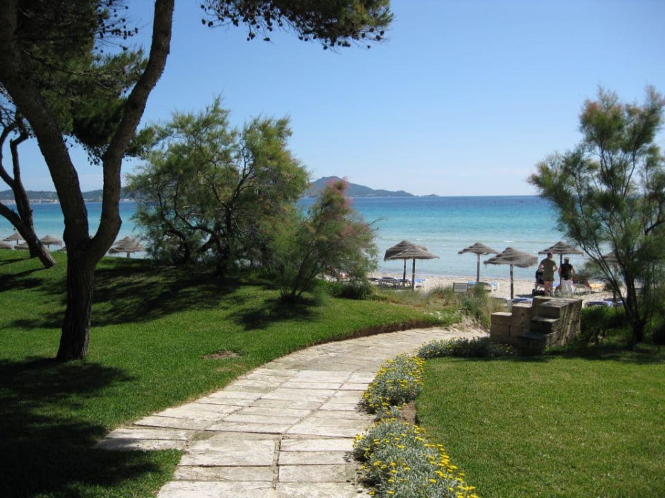 Der Weg zum Strand Iberostar Waves Playa de Muro