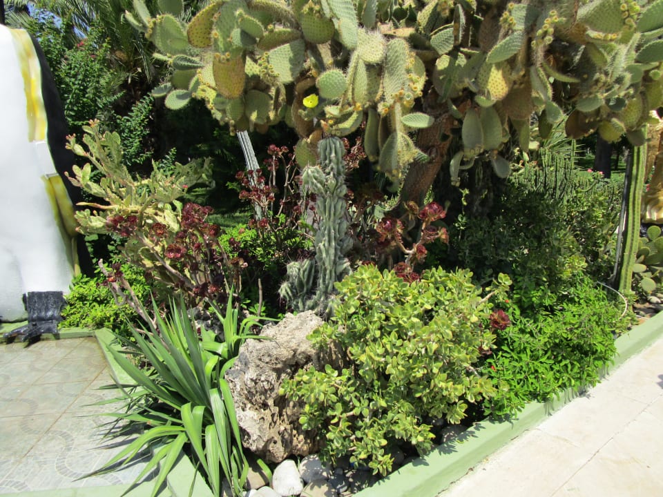 Gartenanlage Hotel Botanik Platinum