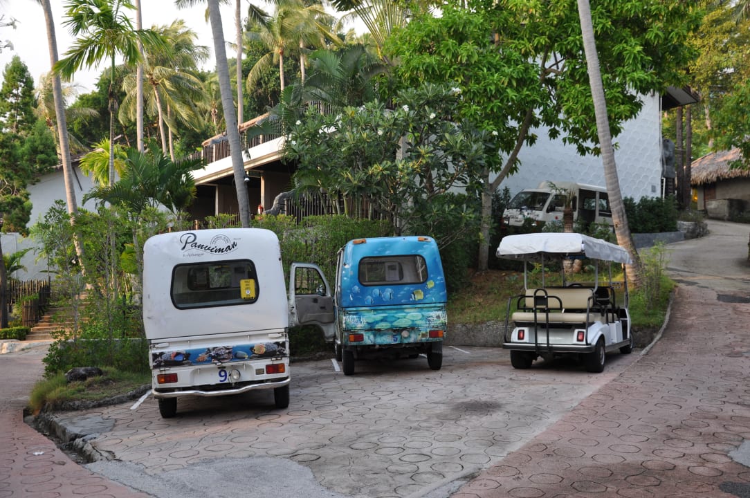 Gartenanlage Panviman Resort Koh Phangan