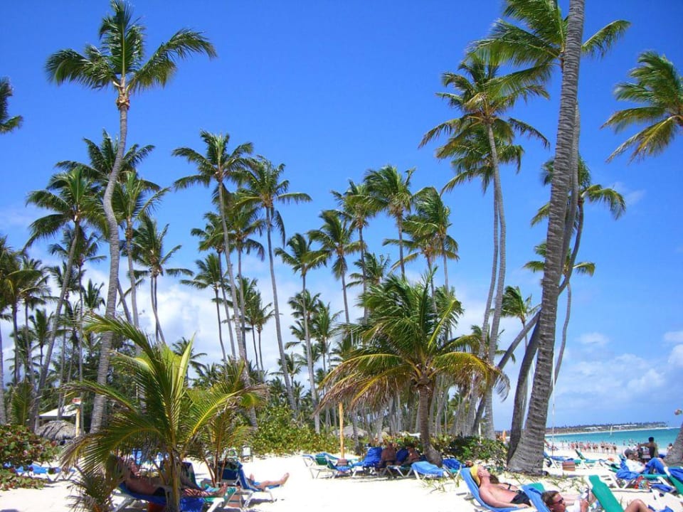 Strand Grand Palladium Select Bávaro Resort & Spa