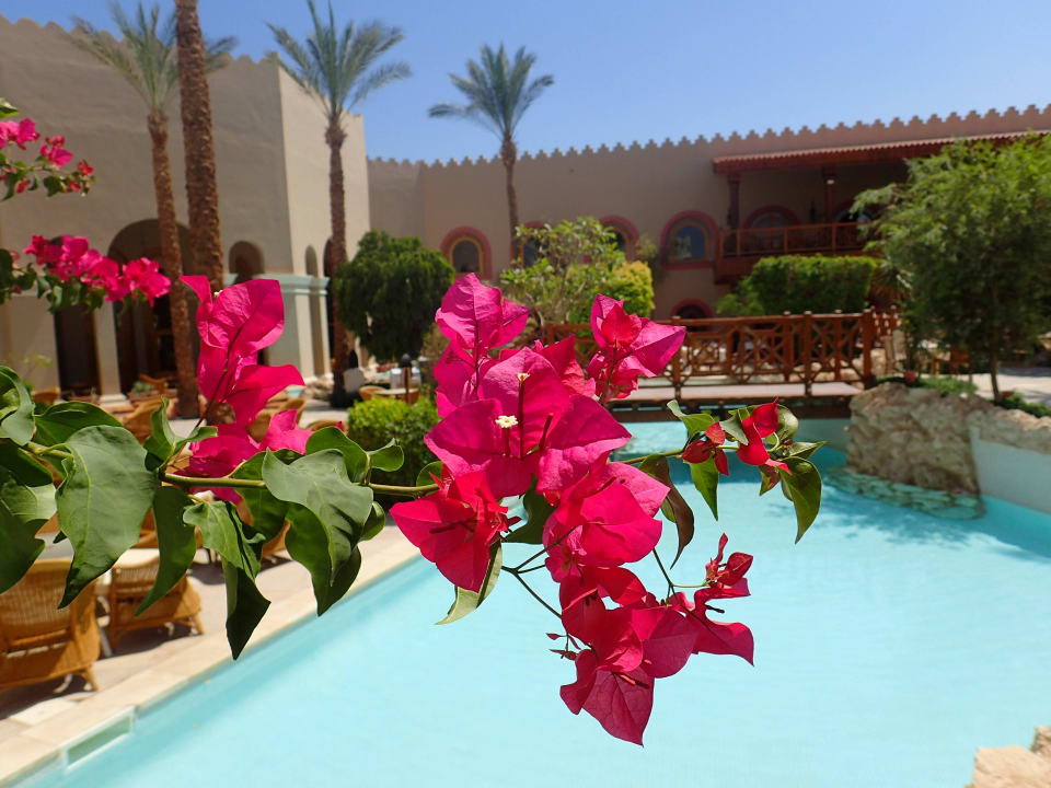 Ausblick vom Balkon Ghazala Gardens