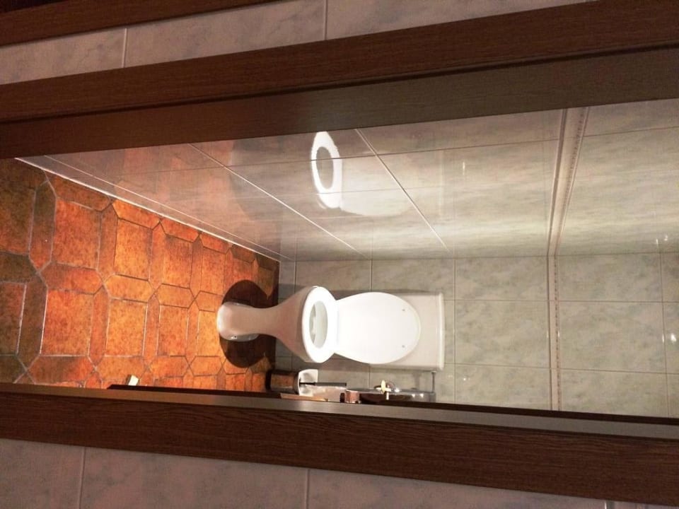 Toilette zum Restaurant Berghotel Holzer