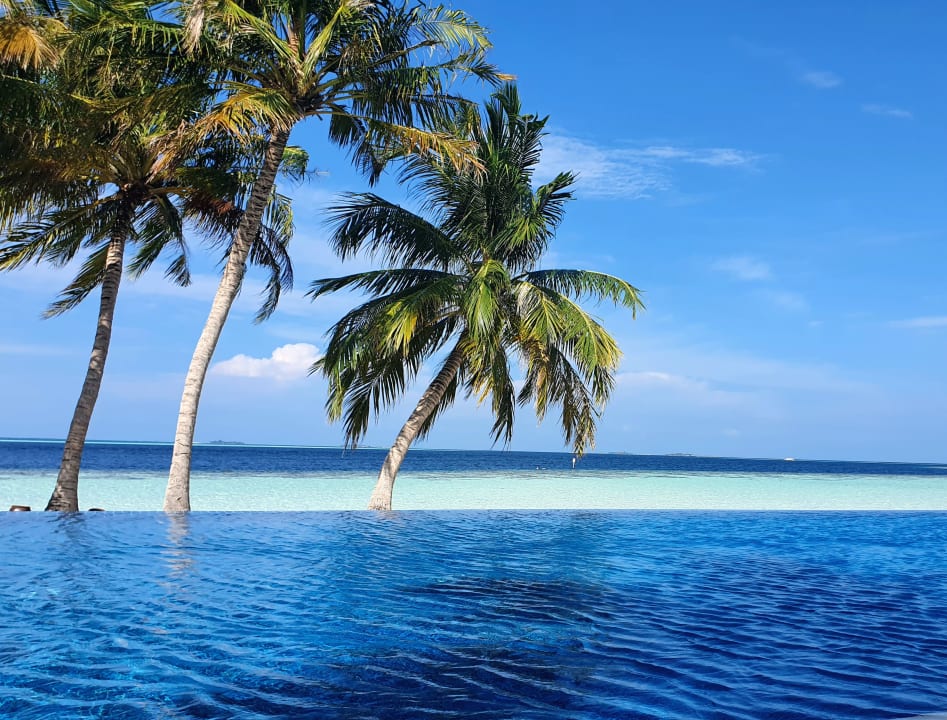 Pool Vilamendhoo Island Resort & Spa