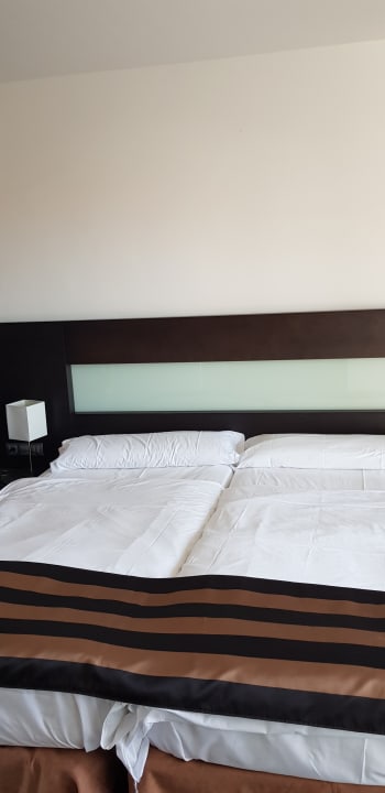 Zimmer allsun App.-Hotel Esquinzo Beach