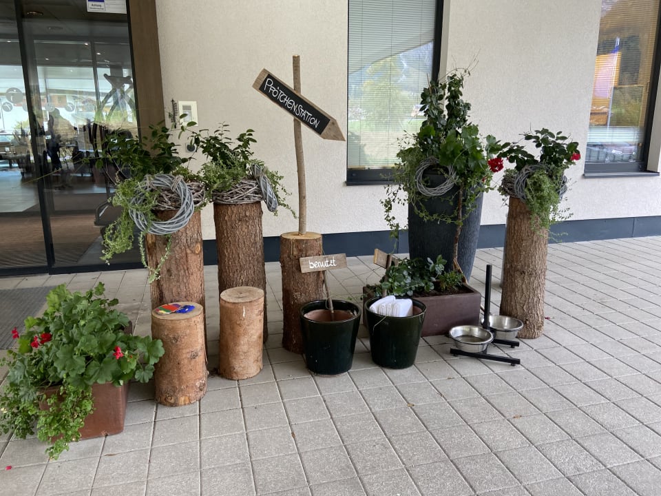 Sonstiges aja Ferienwohnungen in Werfenweng