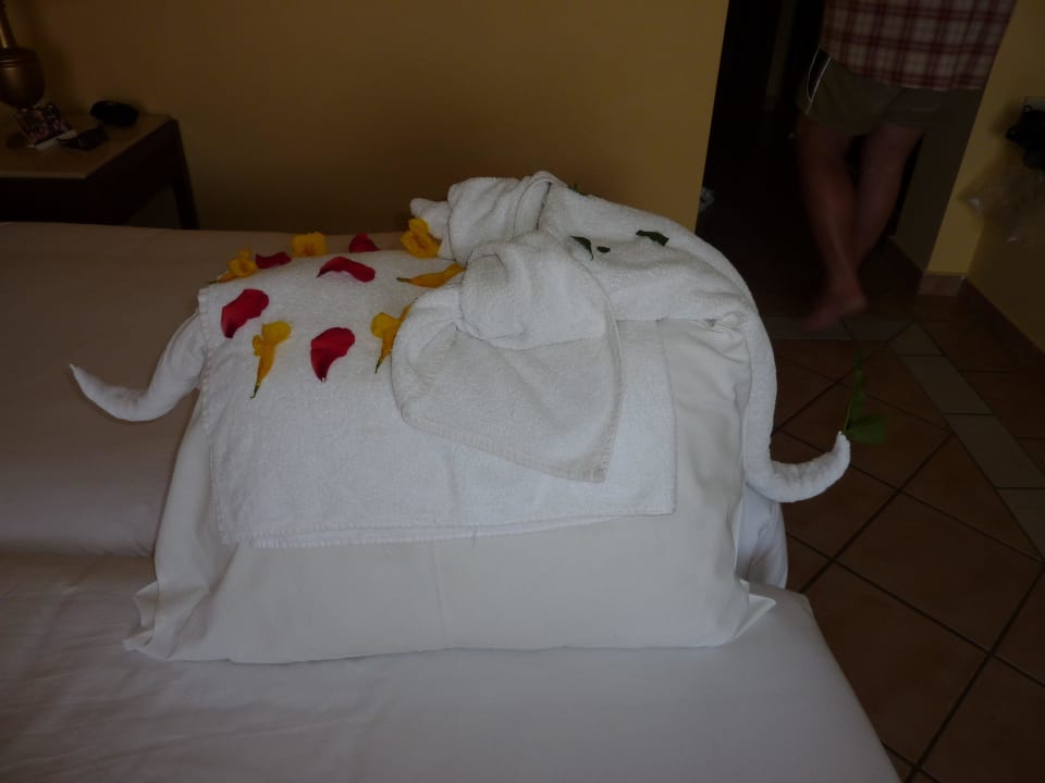 Ein Elefant aus Handtüchern und Kissen Jaz Solaya