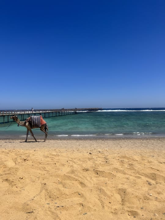 Strand Lazuli Hotel Marsa Alam