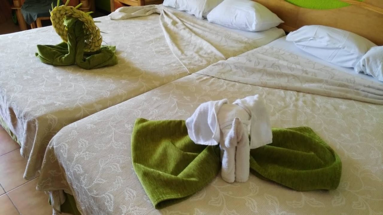 Tolles Zimmermädchen Hotel Puntarena Playa Caleta