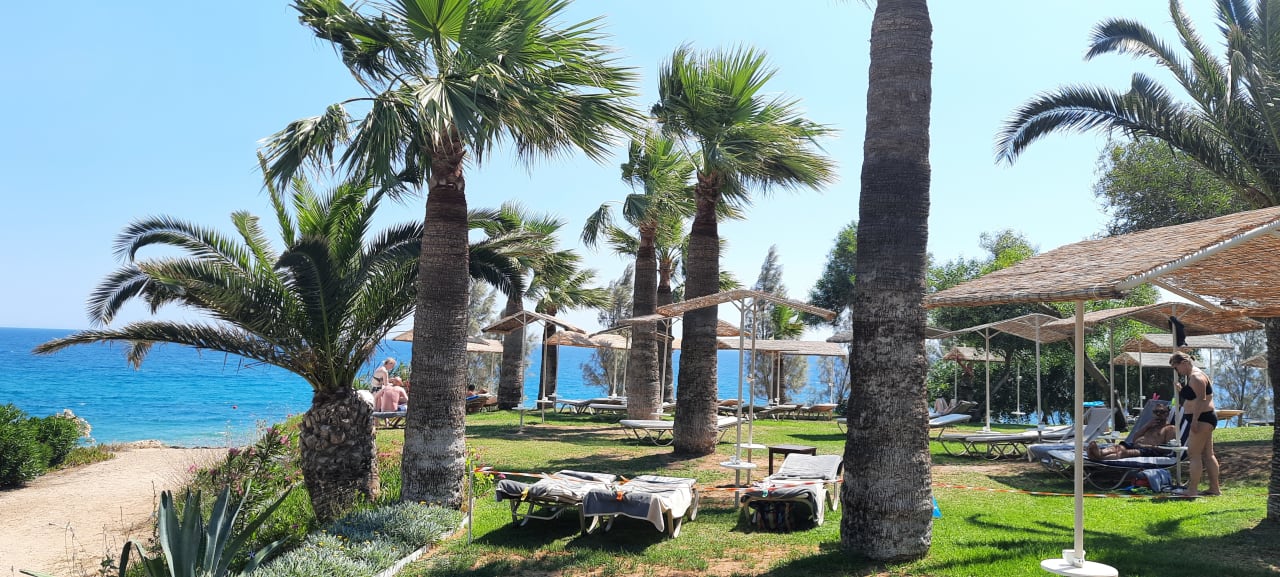 Gartenanlage Crystal Springs Beach Hotel