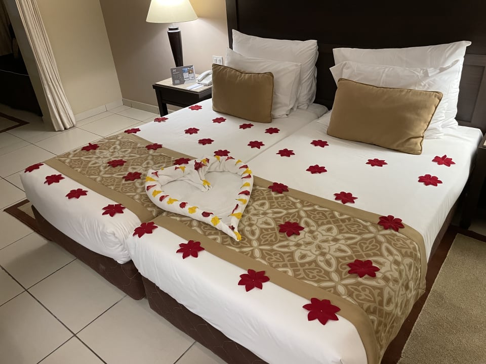 Zimmer Jaz Dar EL Madina
