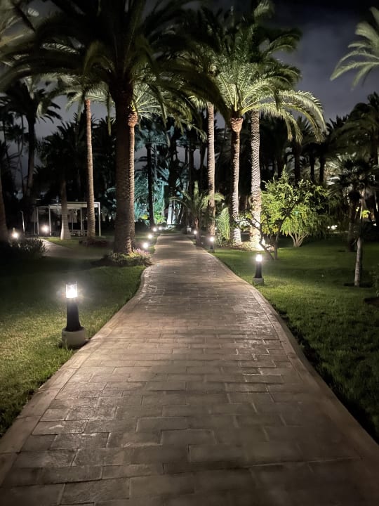 Gartenanlage Hotel Riu Palace Oasis