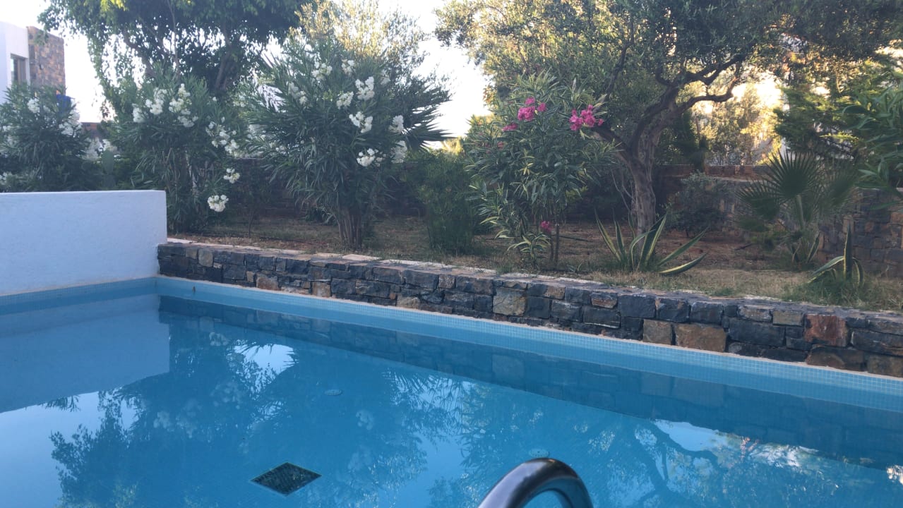 Pool The Island Hotel