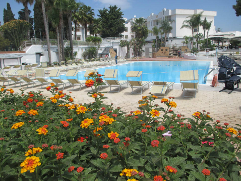 Pool Fontane Bianche Beach Club