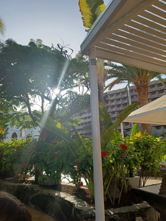 Sonstiges allsun Hotel Lucana