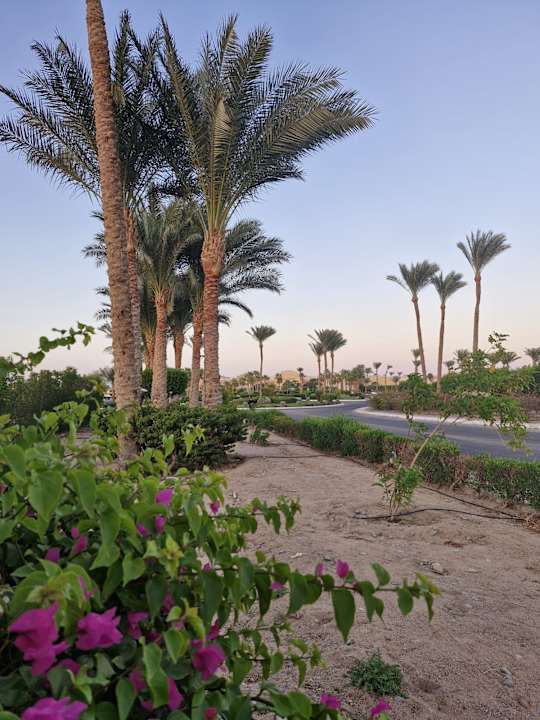 Außenansicht Cleopatra Luxury Resort Makadi Bay