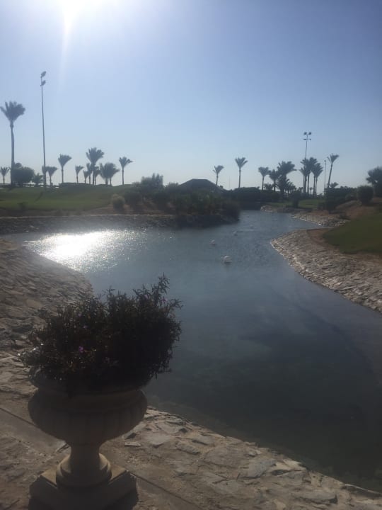 Gartenanlage Steigenberger Aqua Magic