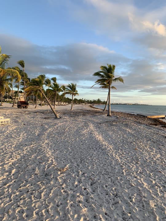 Strand Dreams Cap Cana Resort & Spa