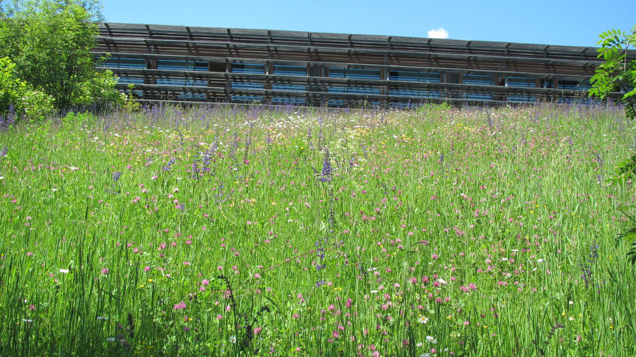 Hotel von unten fotografiert Vigilius Mountain Resort