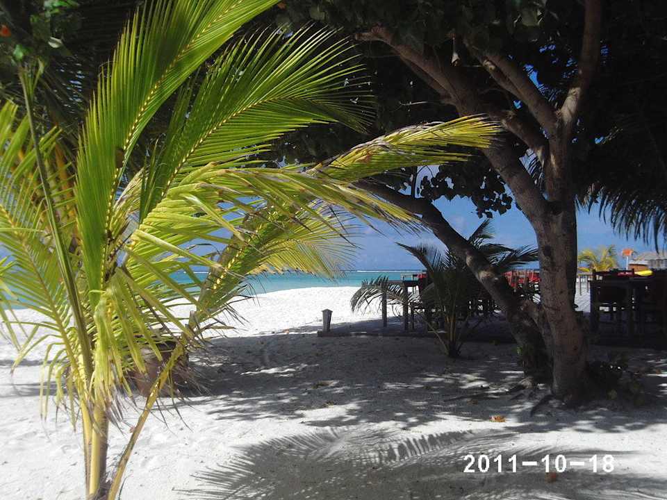 Palmen Meeru Maldives Resort Island