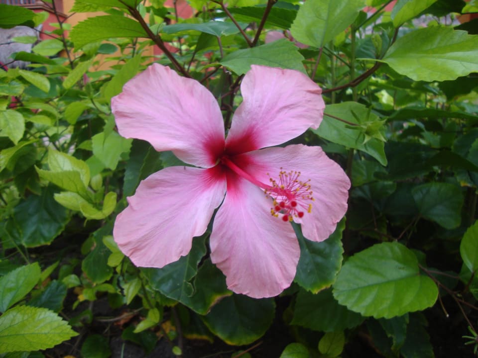 Hotel Catalonia Playa Maroma Catalonia Playa Maroma