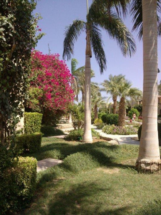 Ali Baba, Hurghada Ali Baba Palace Hotel