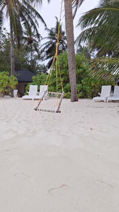 Strand Summer Island Maldives