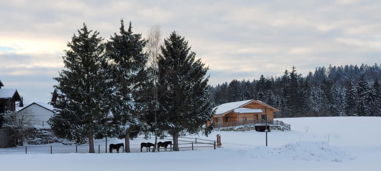 Ausblick Rohrhof - Ferienbauernhof Jakob