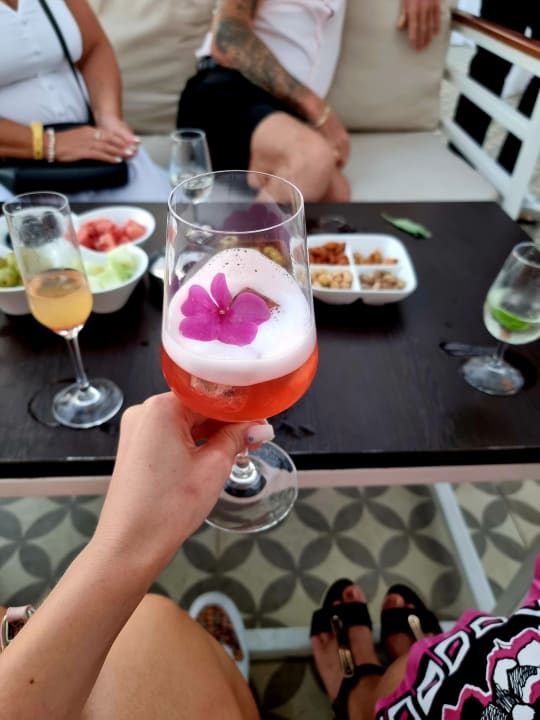 Gastro Papillon Belvil