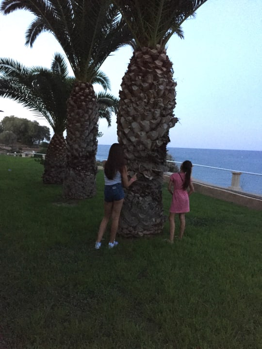 Gartenanlage Lindos Royal Resort