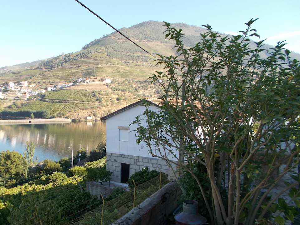 Blick vom Hof aus, auf den Douro Quinta Da Azenha