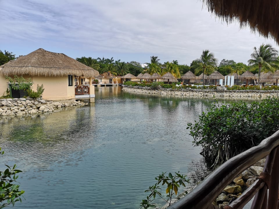 Ausblick TRS Yucatan Hotel - Adults only