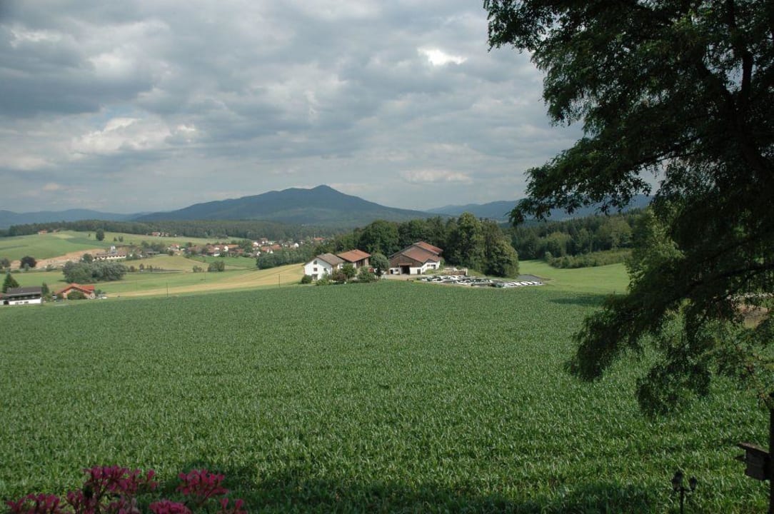 Aussicht Hotel Bayerwaldhof