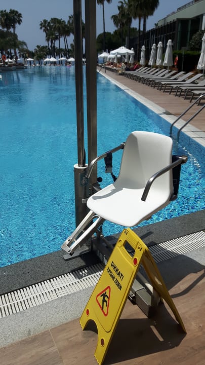 Pool Acanthus Cennet Barut Collection