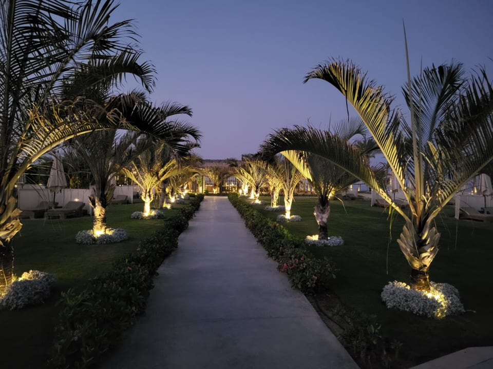 Pool Steigenberger Resort Alaya Marsa Alam - Red Sea - Adults only