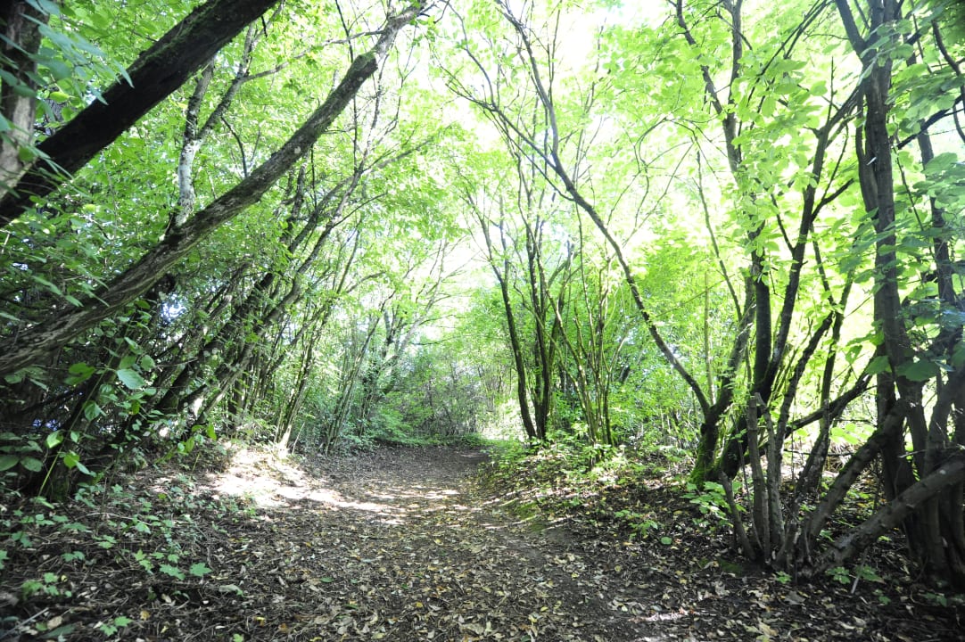 Außenansicht Waldbrunn Feriendorf