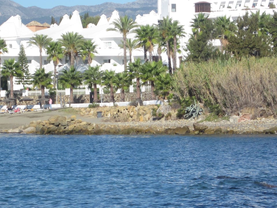 Hier kann man auch Schorcheln H10 Estepona Palace
