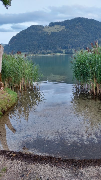 Ausblick Hotel Bellevue am See