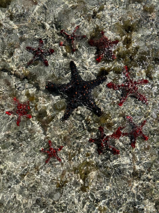 Strand Neptune Paradise Beach Resort & Spa