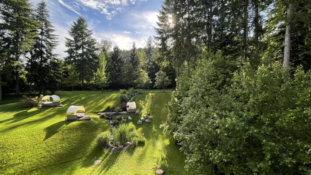 Gartenanlage Waldhotel Grüner Baum