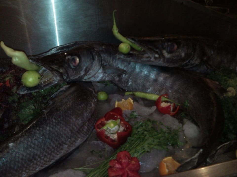 Fisch Pickalbatros Alf Leila Wa Leila Resort - Neverland Hurghada