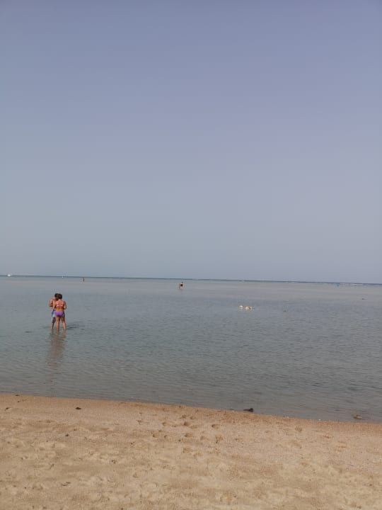 Strand Hotel Titanic Palace